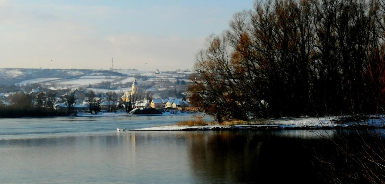 Вилла Danube Fairy Futog Экстерьер фото