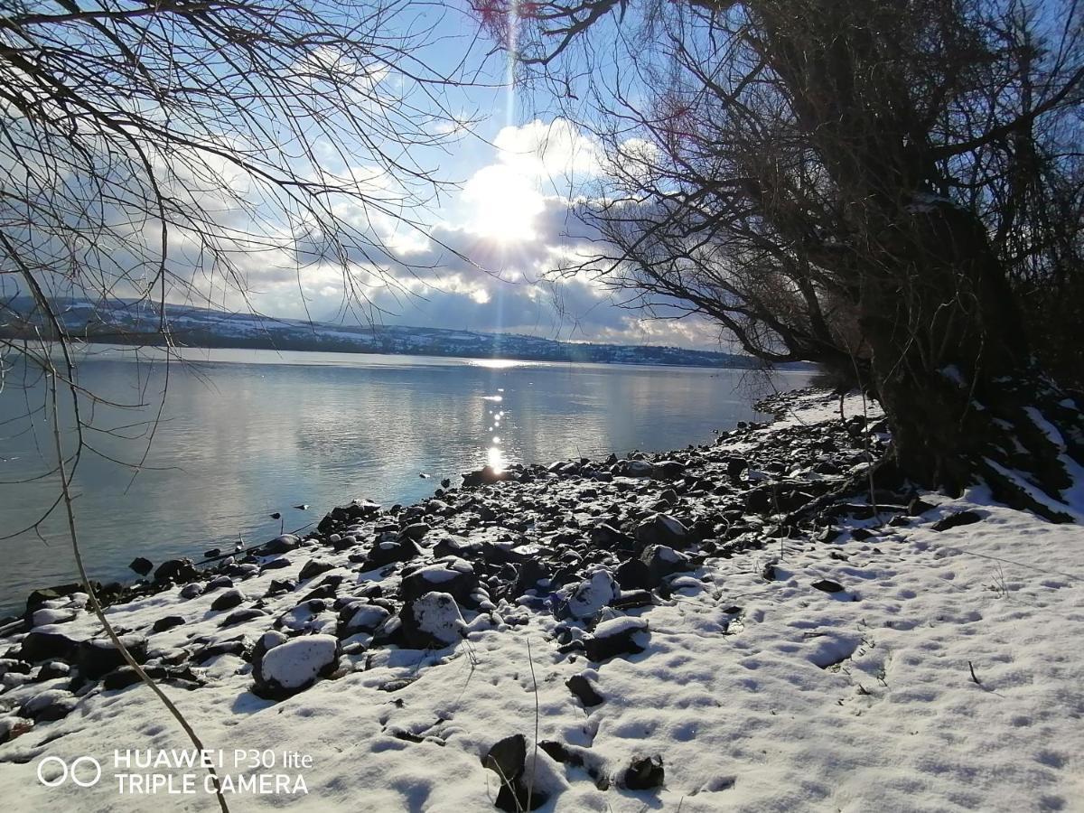 Вилла Danube Fairy Futog Экстерьер фото