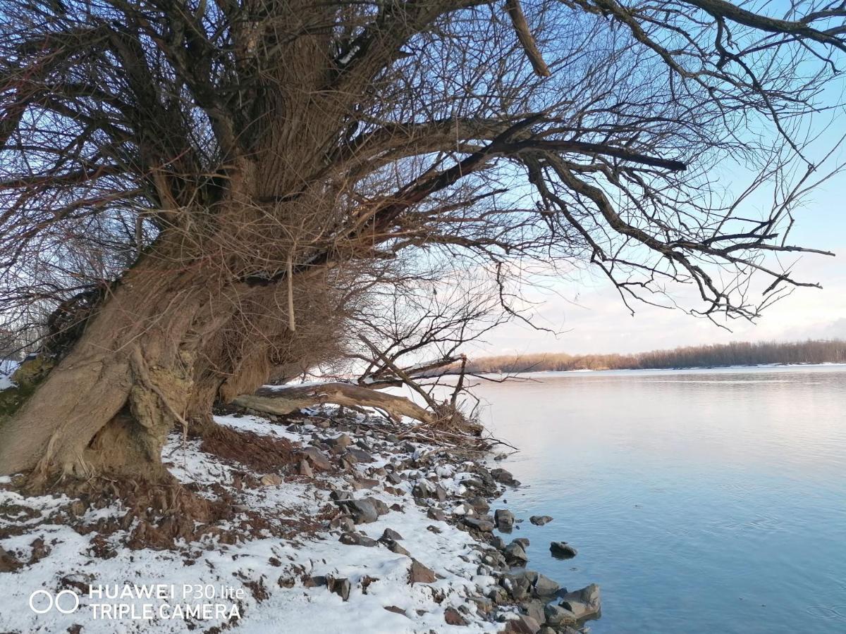 Вилла Danube Fairy Futog Экстерьер фото