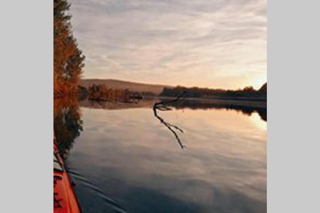 Вилла Danube Fairy Futog Экстерьер фото