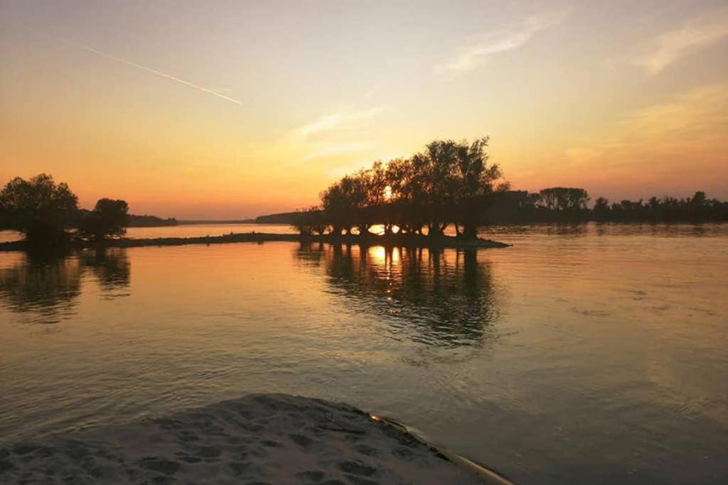 Вилла Danube Fairy Futog Экстерьер фото